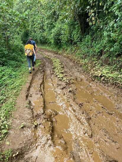 Irgendwann kommt man auch mit dem Jeep nicht mehr voran und so steigen wir aus und laufen