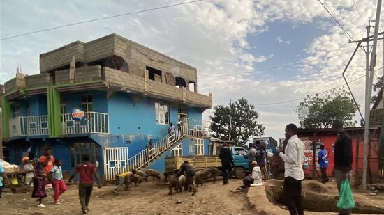 Es ist unglaublich, was man hier so sieht