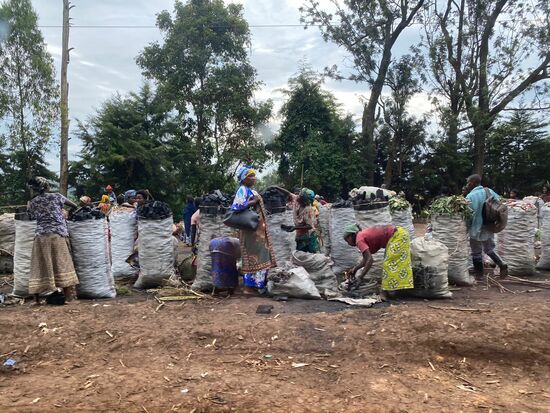Hier wird Holzkohle angeboten und gehandelt