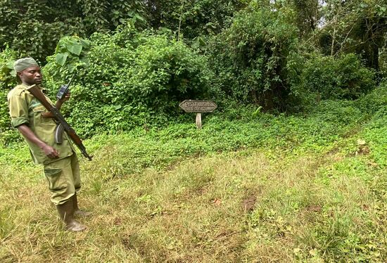 Von hier gehts weiter in den Busch. Leider ist es wieder sehr matschig, aber wir müssen heute keine Berge hinauf. Wir werden von 2 bewaffneten Soldaten und 2 Ranchern begleitet.