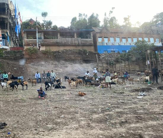 Auf dem Rückweg: alles dunkel, düster, vermüllt…