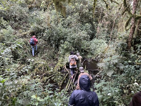 Es sind auch einige provisorische Brücken zu überqueren
