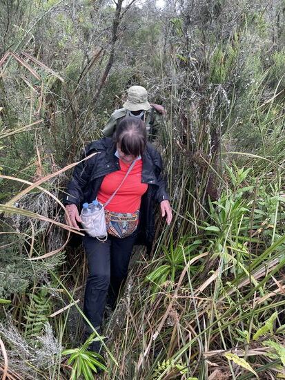 Irgendwann erreichen wir die Sümpfe und wir versinken wieder mit unseren Schuhen