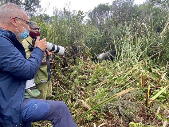 Wir sind teilweise bis auf 3-4 Meter an dem Chef der Familie