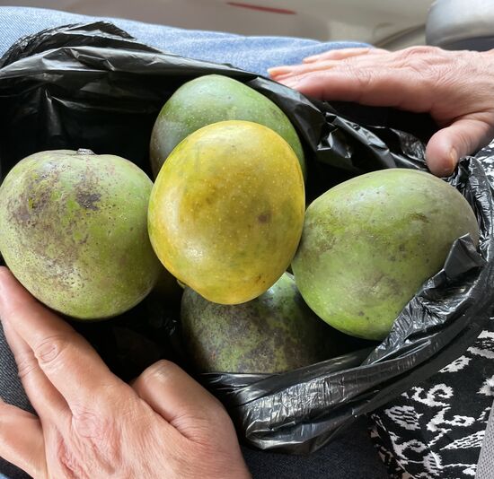 Denis kauft uns unterwegs eine Tüte  Mangos…yummy…