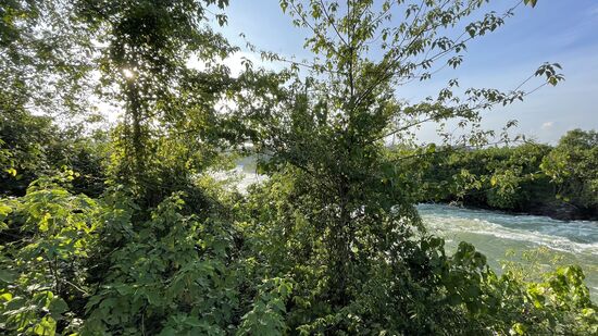 Blick von unserer Terrasse