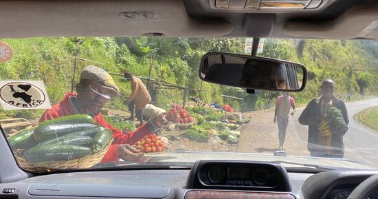 Auch Gemüse wird verkauft—und kleine halbrote Erdbeeren—es sieht alles wunderbar und ökologisch aus