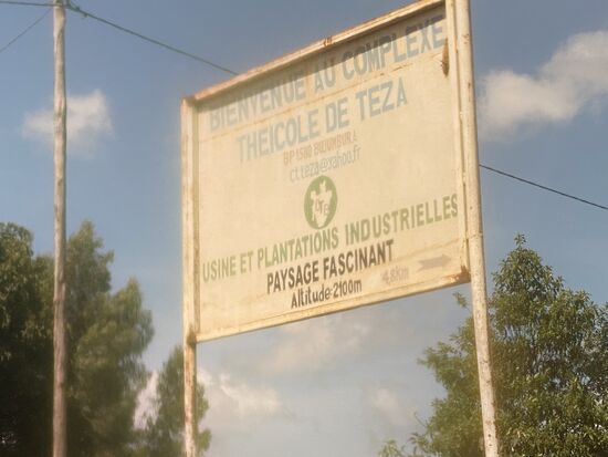 Gegen 10 Uhr erreichen wir den Park und befinden uns auf immerhin 2100m Höhe
Hier bekommen wir wieder einen jungen Guide mit dem wohlklingenden Namen „Bonaire“ und einen weiteren, der wohl aus Langeweile auch mitläuft