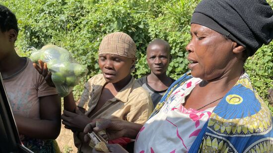 Wir fahren ins Landesinnere und stoppen an den Straßenverkäufern um Obst zu kaufen