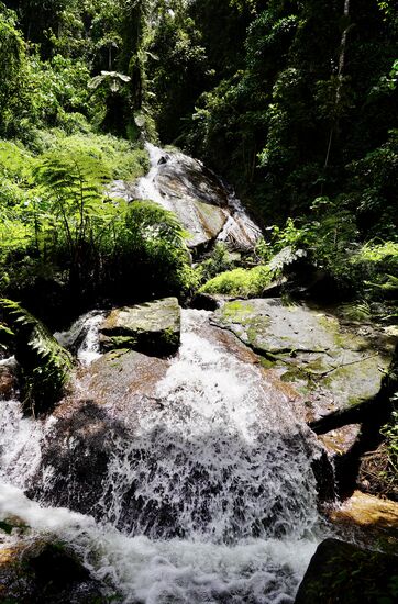 …es ist nur ein kleiner—aber hübsch!