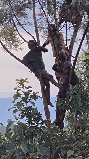 Sie sitzen im Baum hinter den Trommlern
