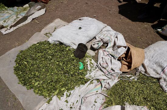 Das ist Hopfen, aus dem das hiesige Bier gebraut wird. Ich kenne es von den Hochzeiten, zu denen ich in der Vergangenheit mit Happy eingeladen war.
Bei unserem ersten Besuch vor 5 Jahren waren wir auf 3 Hochzeiten an einem Tag.