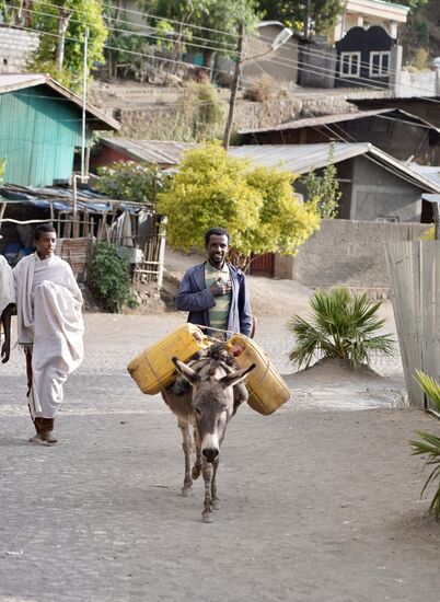 Manch einer kann sich noch glücklich schätzen, eine Vierbeinige Tragehilfe zu haben