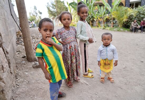 Auch sie begleiten uns ein Stück