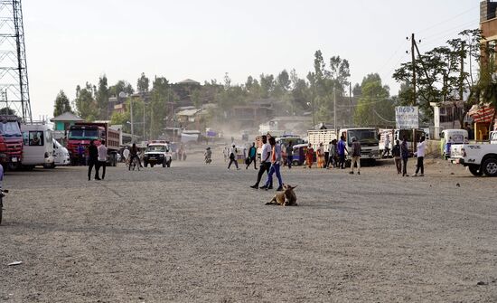 Der Esel liegt mitten auf dem Marktplatz von LAlibela