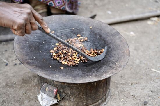 Braun und brauner…