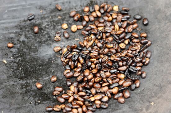 Es duftet schon nach geröstetem Kaffee