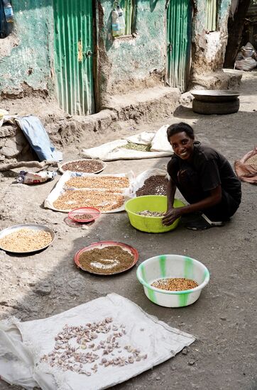 Die Nachbarin ist weiter fleißig