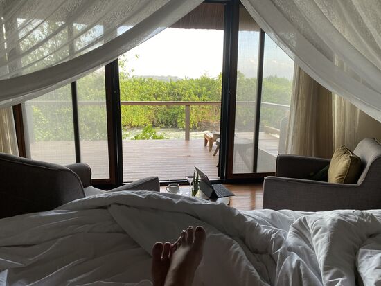 Guten Morgen, so macht Aufstehen Spaß. Trotz des hohen Geräuschpegels des Nils haben wir super geschlafen und freuen uns auf den neuen Tag.