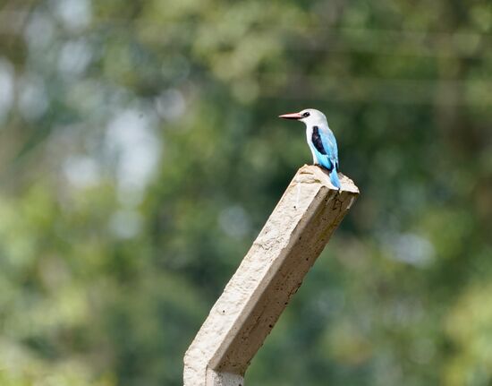 Hallo kleiner Freund.