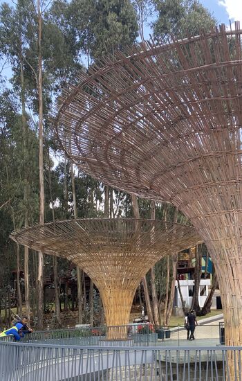 Alles ist so sauber hier, kein bißchen Dreck auf den Wegen.
Links sieht man übrigens einen Wachmann mit Gewehr. Immer wieder sehen wir in der Stadt bewaffnete Wachleute. Die Stadt gilt insgesamt als gefährlich. Im Hotel hat man uns auch darauf hingewiesen, dass wir nicht im dem Handy in der Hand durch die Stadt gehen sollen. Die Gefahr, dass es jemand wegreißt, ist sehr groß.