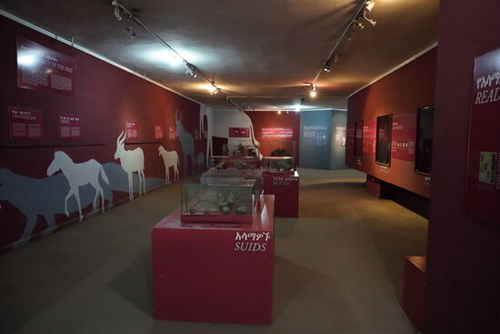 Aber im Museum selbst sind wir überrascht angesichts der Ausstellung und Präsentation.