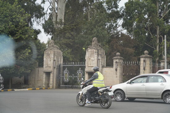 Auf dem Weg zum Hotel kommen wir noch am Palast der Präsidenten vorbei. Leider hat man kaum Einsicht.
Ein toller Tag geht dem Ende entgegen. Es war schön, Alex und Jonas wiederzusehen und wir haben versprochen, wiederzukommen. Thomas möchte Äthiopien noch näher kennenlernen.