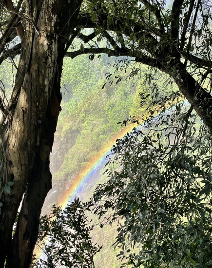 Wieder ein wunderschöner Regenbogen