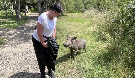 Das neugierige Schwein kommt mir etwas zu nah!