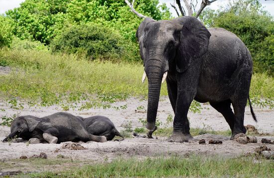 Der Kleine ist vermutlich müde