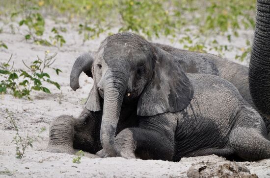 Neugierig ist er aber trotzdem 