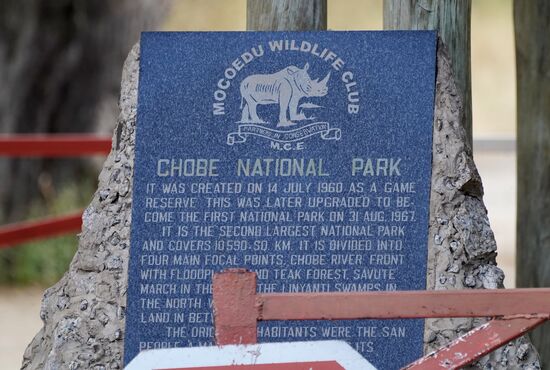 Nach dem Mittagessen fahren wir in den Chobe Nationalpark mit einem offenen Jeep. Wie schon auf dem Boot sind wir eine kleine Truppe: das indische Ehepaar aus Südafrika, eine junge Frau mit kleinem Kind (ebenfalls aus Südafrika) und wir zwei. Ein weiteres Ehepaar mit Kind (aus Brasilien in Südafrika lebend) machen die Jeep-Tour nicht mehr mit.
