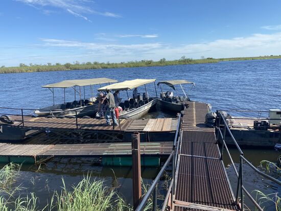Zuerst erwartet uns eine Boots-Safari auf dem Chobe-River