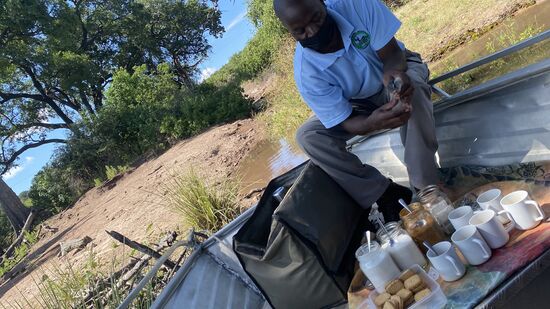 Unser Bootsführer parkt vor dem Tier und packt Kaffee, Tee und Kekse aus. Er meint, das Krokodil werde sich vermutlich nicht rühren.