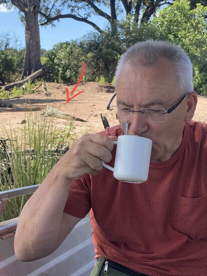 Zum Glück sind wir auf dem Boot in Sicherheit. Laut Bootsführer ist das Kroko 7-8 Jahre alt.