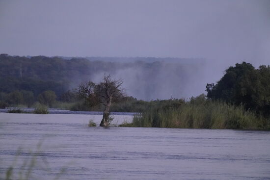 Immer wenn es etwas besonderes zu sehen gibt, kommt jemand vom Service und macht uns nett darauf aufmerksam