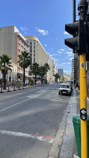 Okay—in Berlin gibt es keine Palmen