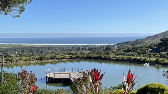 Danach gehts zum Weingut „Cape Point Vineyards“ dort ist jeden Donnerstag Nachmittag „Food market“