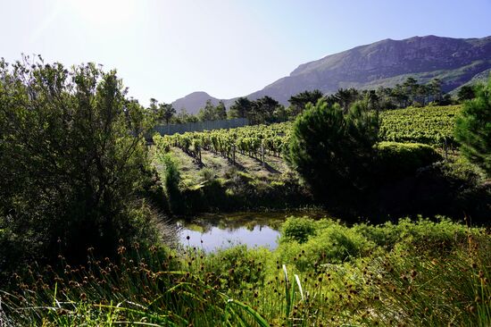 Wunderschön gelegen