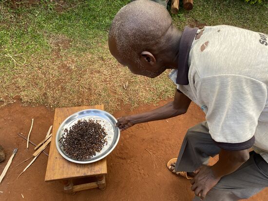 Kaffeeduft liegt in der Luft und der Chef entfernt die letzten Schalenreste nach dem Rösten