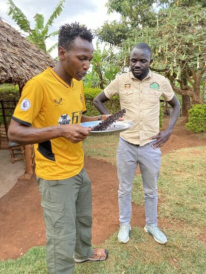 Schütteln und Pusten - schon fliegen die Reste weg. Jetzt noch die schlechten Bohnen raussuchen und …