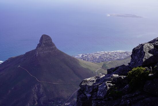 Lions Head aus der Nähe