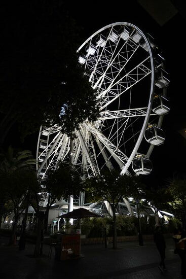 Capetown ist modern. Das Leben auf den Straßen pulsiert.