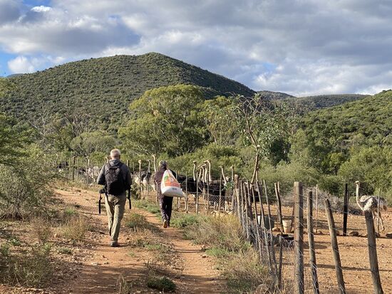 Viele Säcke mit Strohhäcksel und Mais werden von Gehege zu Gehege geschleppt