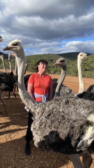 Ganz zum Schluß besuchen wir das Gehege der Oldies: hier dürfen wir rein