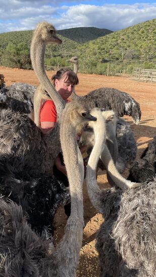 Die süßen Vögel füttern …