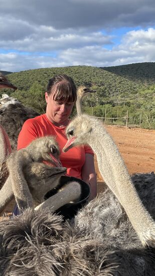 …und auch etwas auf Tuchfühlung gehen