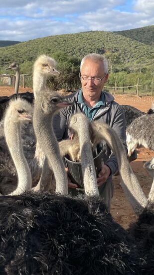 Sie sind friedlich und tun uns nix