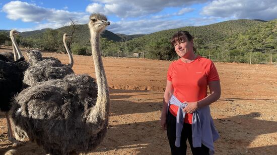 Das ist nicht selbstverständlich. Es gibt ein männliches Tier, der letztens einen Gast angefallen hat, weil er ihn mit einem Teleobjektiv fotografiert hat. Der Strauß erkennt die Linse als Feind—sie sieht eben aus wie ein Auge—