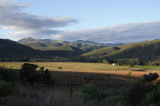 Nun wird es Abend und wir kehren zurück